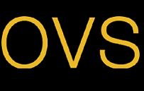 logo-ovs.png