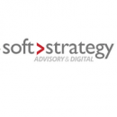 Soft Strategy Group